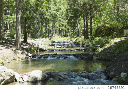  Outdoor family 16743891