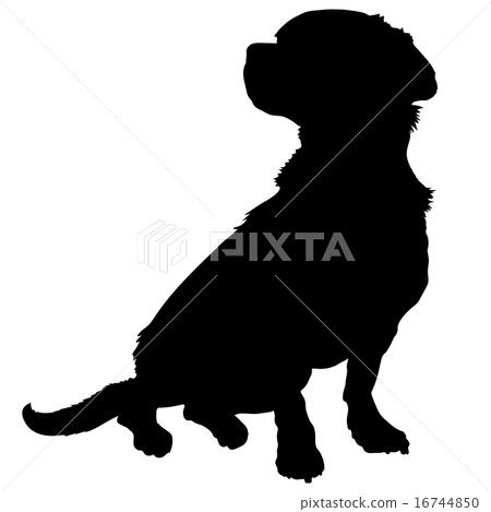 Mixed Breed Silhouette 16744850