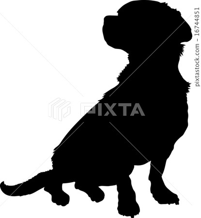 Mixed Breed Silhouette 16744851