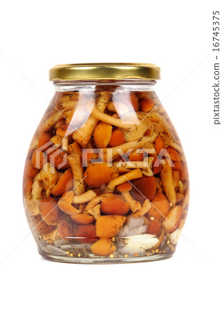 canned mushrooms isolated 16745375