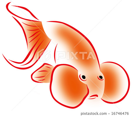 Goldfish Goldfish 16746476