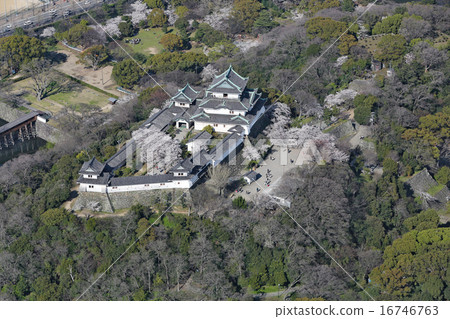 和歌山城 16746763
