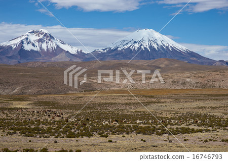 Volcanos on the Altiplano Volcanos on the Altiplano 16746793