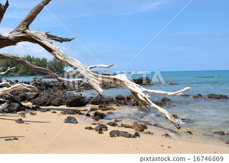 Beach 69 16746869