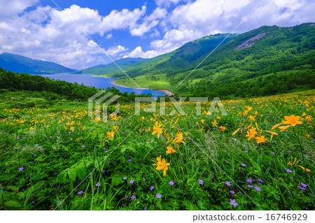 北方湖泊和親吻的大草原 16746929