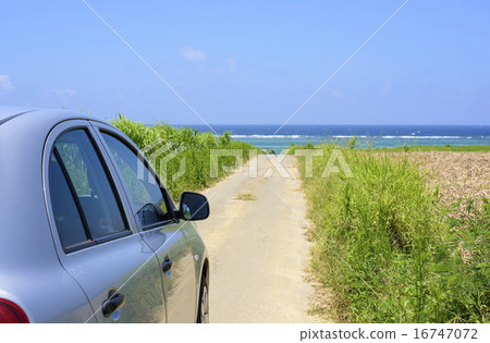 Drive to the sea of coral reefs Drive to the sea of coral reefs 16747072