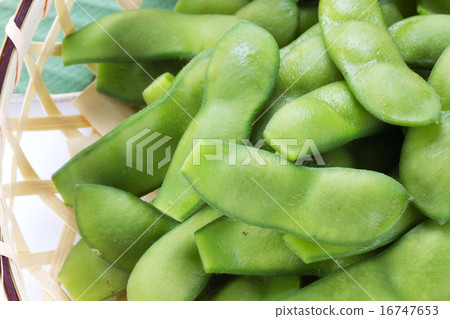毛豆4 16747653