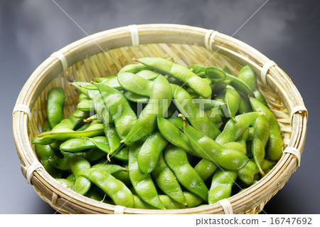 Edo soybean 7 16747692