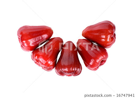 Rose apples, chomphu isolated on white background 16747941