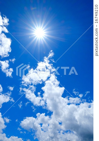 sora - summer - (2) sora - summer - (2) 16749210