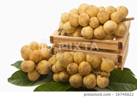 Longkong in crate ,Thai fruits on leaf background Longkong in crate ,Thai fruits on leaf background 16749822