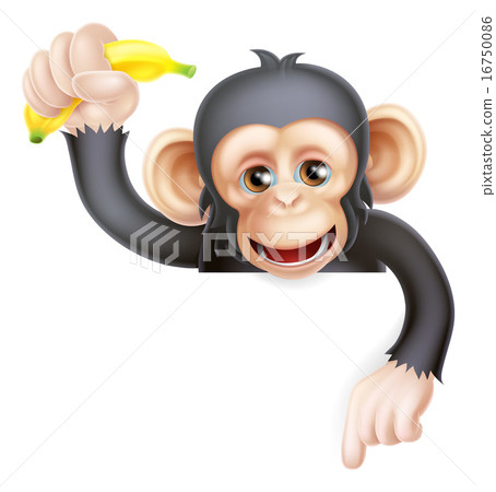 Banana Chimp Monkey Pointing 16750086