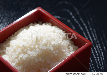 Japanese rice koshihikari 16750789