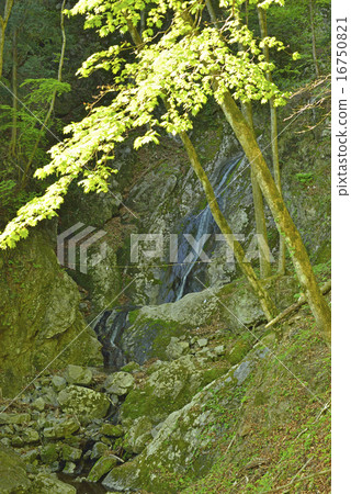 Oono Ochizawa - 降落油⑥ Oono Ochizawa - 降落油⑥ 16750821