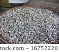 Copiaku manufacturing process 4 16752220
