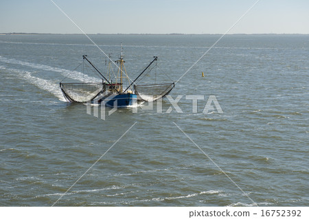 Fishing boat on a UNESCO protected Dutch sea Fishing boat on a UNESCO protected Dutch sea 16752392