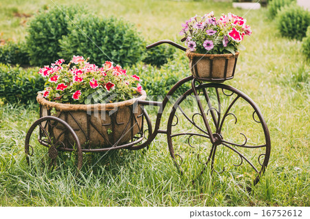 Decorative Vintage Model Old Bicycle Equipped Basket Flowers Gar Decorative Vintage Model Old Bicycle Equipped Basket Flowers Gar 16752612