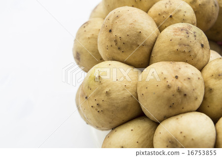 longkong langsat fruit tropical sweet tasty yellow 16753855