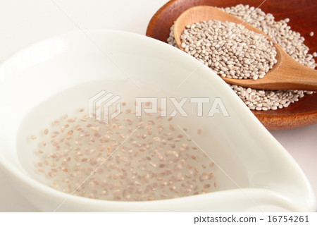 正大種子 16754261