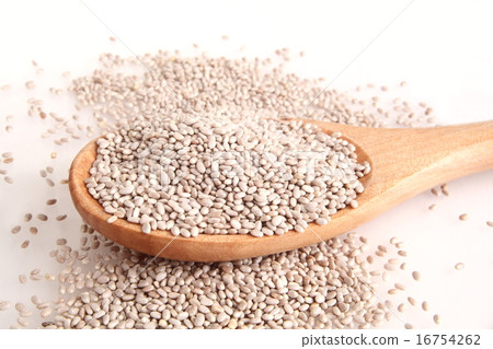 正大種子 16754262