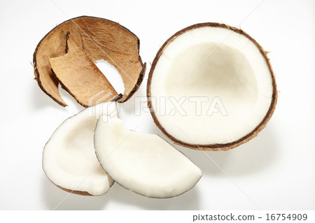 Coconut 16754909