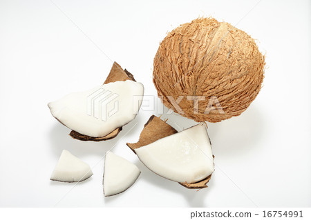 Coconut 16754991