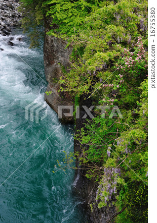 Joganji River 16755380