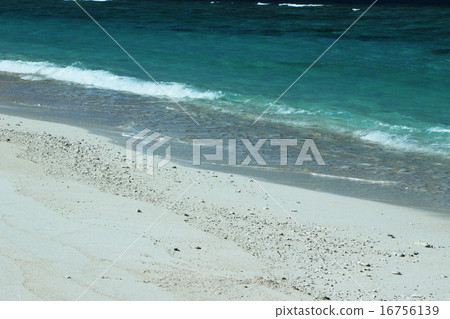 Sensei beach wave 16756139