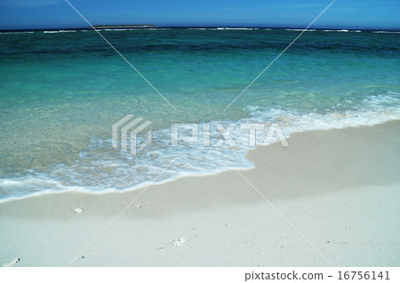 Sensei beach wave 16756141