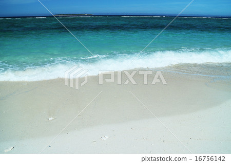 Sensei beach wave 16756142