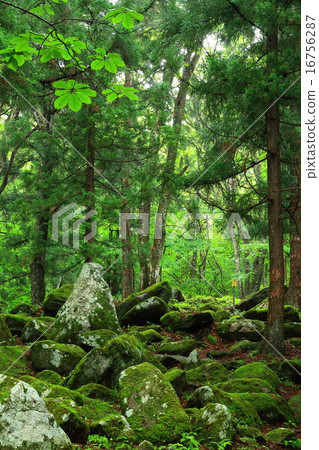 岩手縣遠野市五漢 16756287