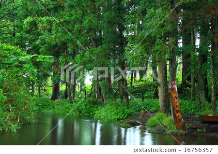 Kappa deep in Tono-city, Iwate Prefecture 16756357