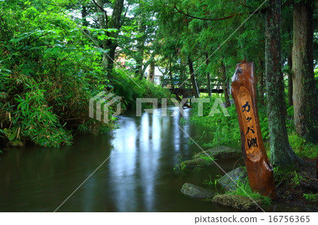 Kappa深入岩手縣遠野市 16756365