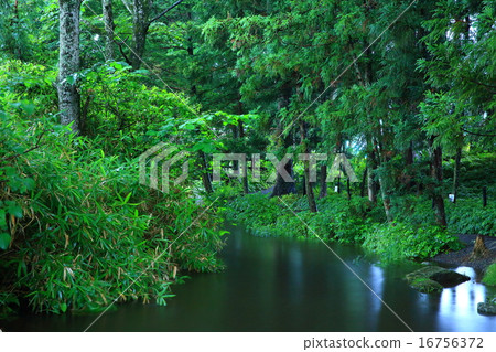 Kappa deep in Tono-city, Iwate Prefecture 16756372
