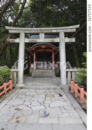 幕府將軍神社（八坂神社/關內/京都市東山區祗園鎮） 16757524