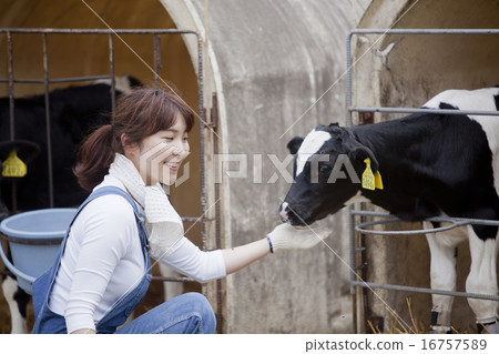 A woman working in a farm A woman working in a farm 16757589