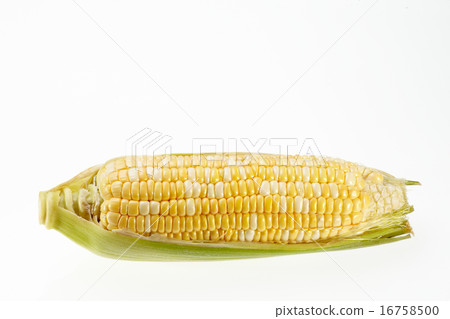 Corn Corn 16758500