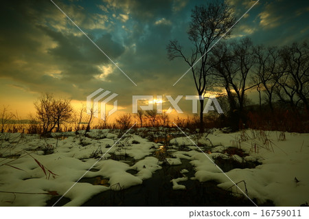 琵琶湖在冬天 16759011