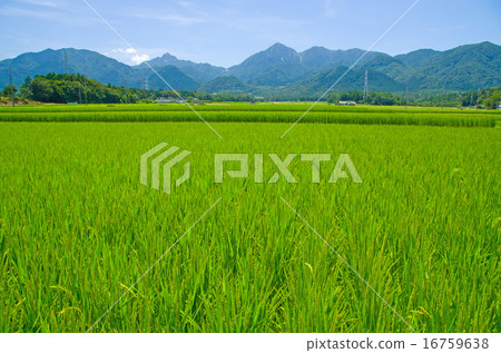 The foot of the mountain where Aota spreads 16759638