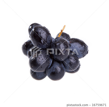 small bunch of black grapes 16759671