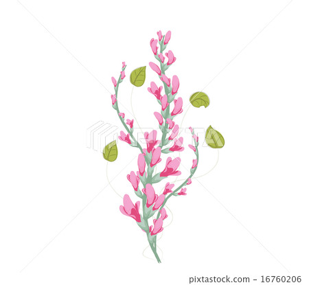 pink bouquet of Flowers watercolor pink bouquet of Flowers watercolor 16760206