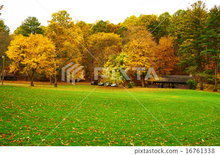 Autumn scene 16761338