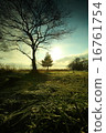 Morning on the shores of Lake Biwa Morning on the shores of Lake Biwa 16761754
