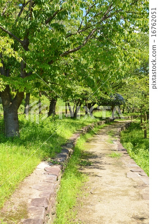 A promenade 16762051