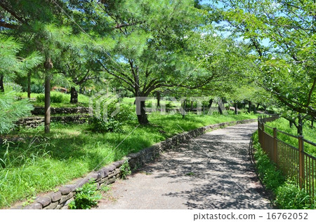 A promenade A promenade 16762052