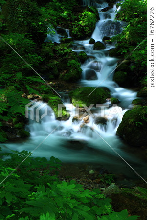 Summer waterfall Summer waterfall 16762226