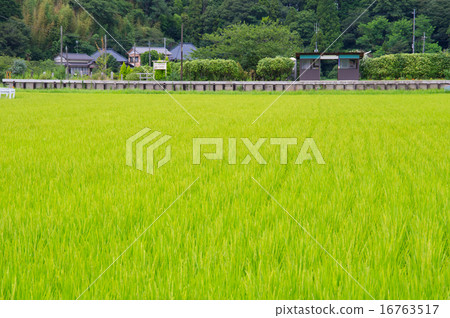 Kazusagawa Station 16763517