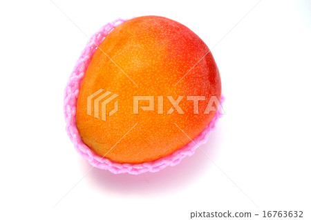 Mexican · Mango Mexican · Mango 16763632