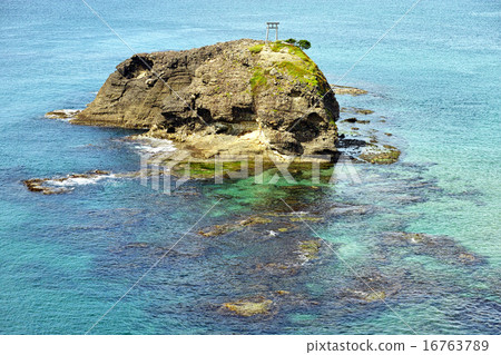 White rabbit coast Gyokinojima 16763789