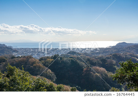 鎌倉遠景 鎌倉遠景 16764445